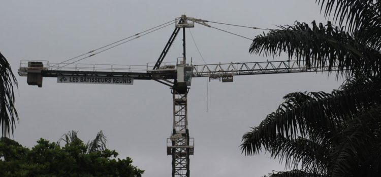 Grue à Tour